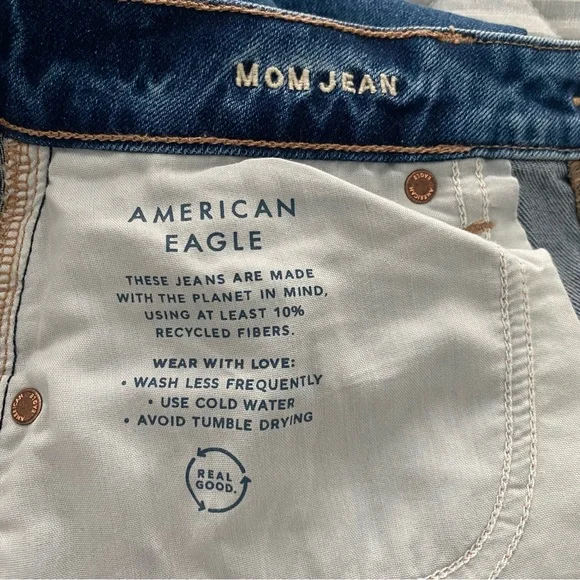 American Eagle Outfitters Strigid Mom Jeans - Picture 6 of 9